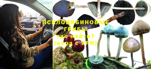 ALPHA PVP Беломорск