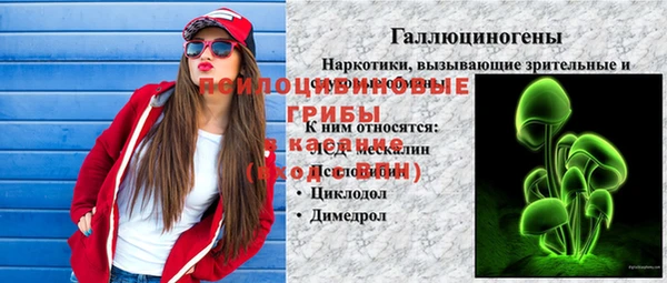 спайс Белокуриха