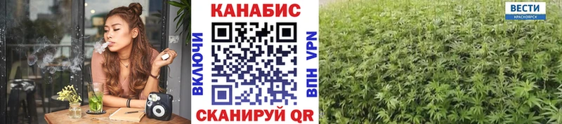 МАРИХУАНА план  Кохма 